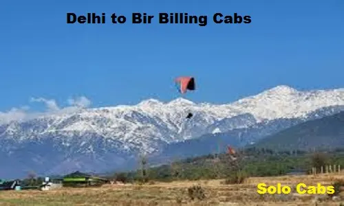 delhi to bir cabs